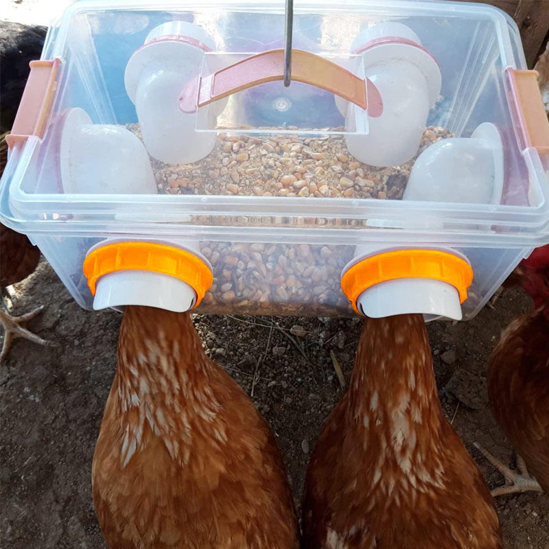 DIY Chicken Feeder