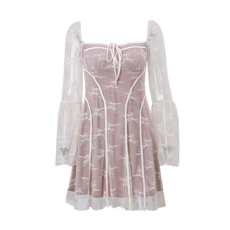 Chic Corset Mini Lace Dress