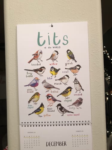 2024 'For The Pun Of It' Cheeky Wall Calendar