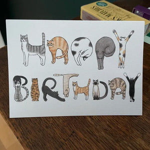 Cats Birthday Card