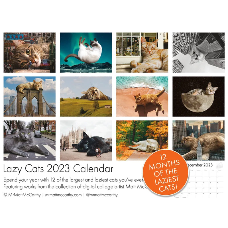 2023 Lazy Cat Calendar