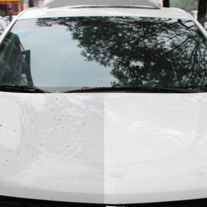 Professional Iron Powder Remover
