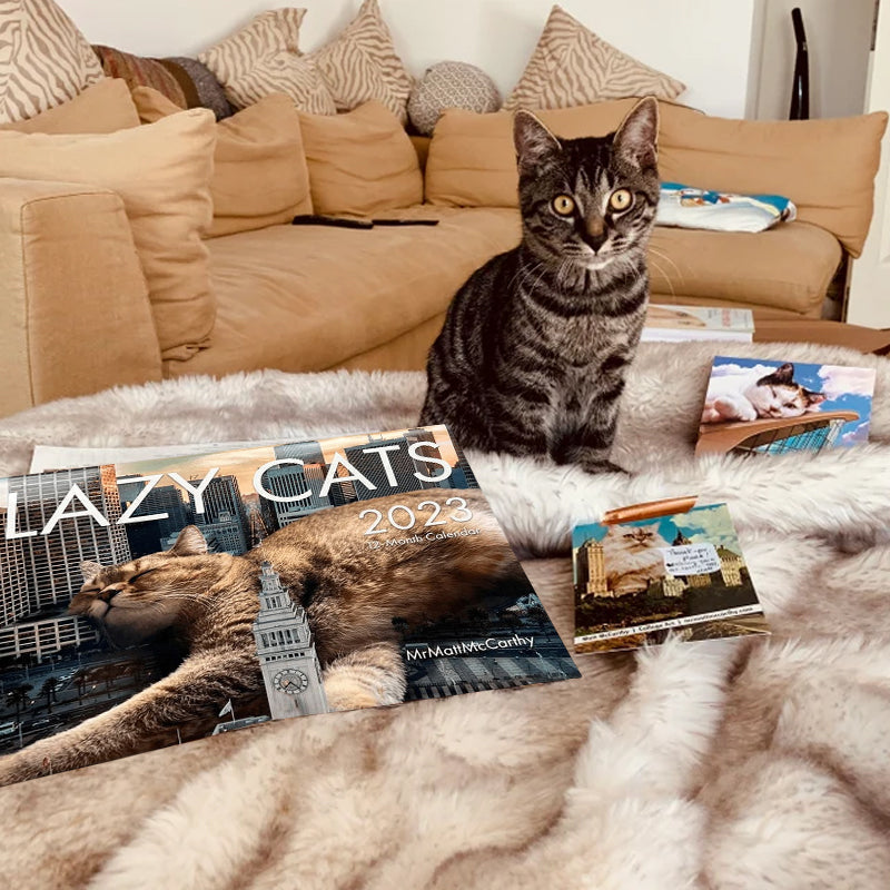 2023 Lazy Cat Calendar