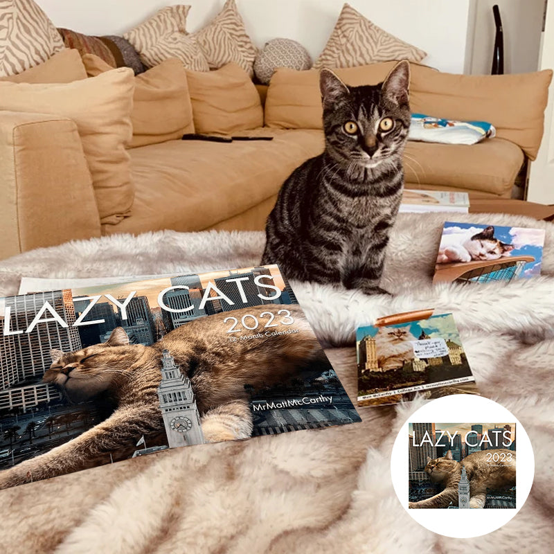 2023 Lazy Cat Calendar